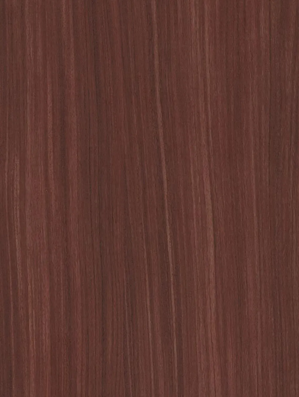 Bordeaux Birch