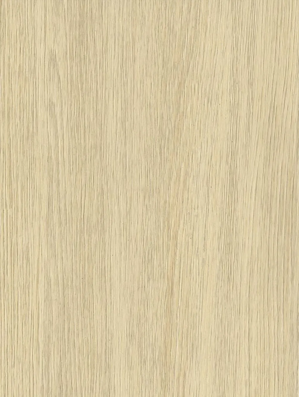Ivory Oak