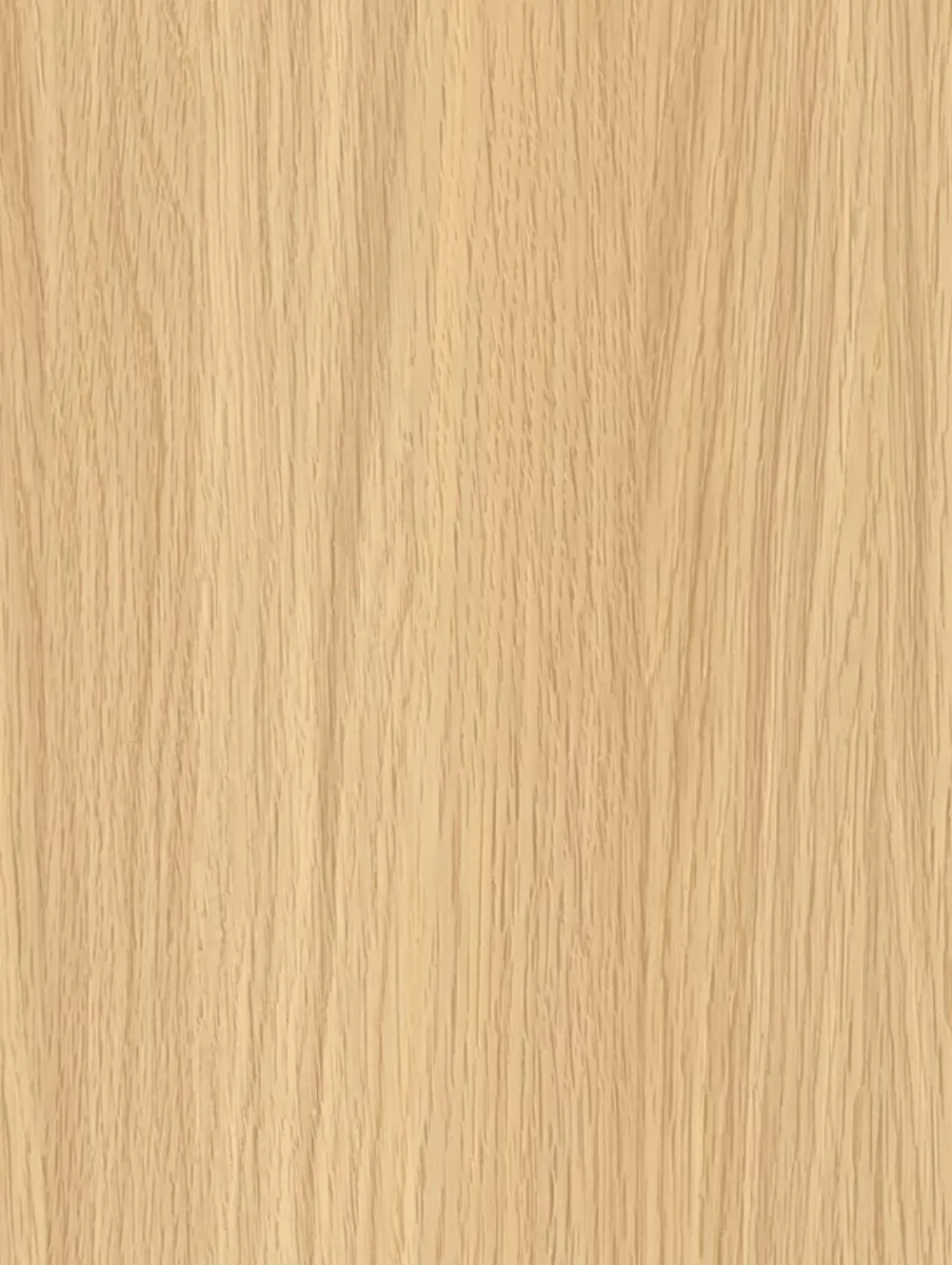 Beige Beech