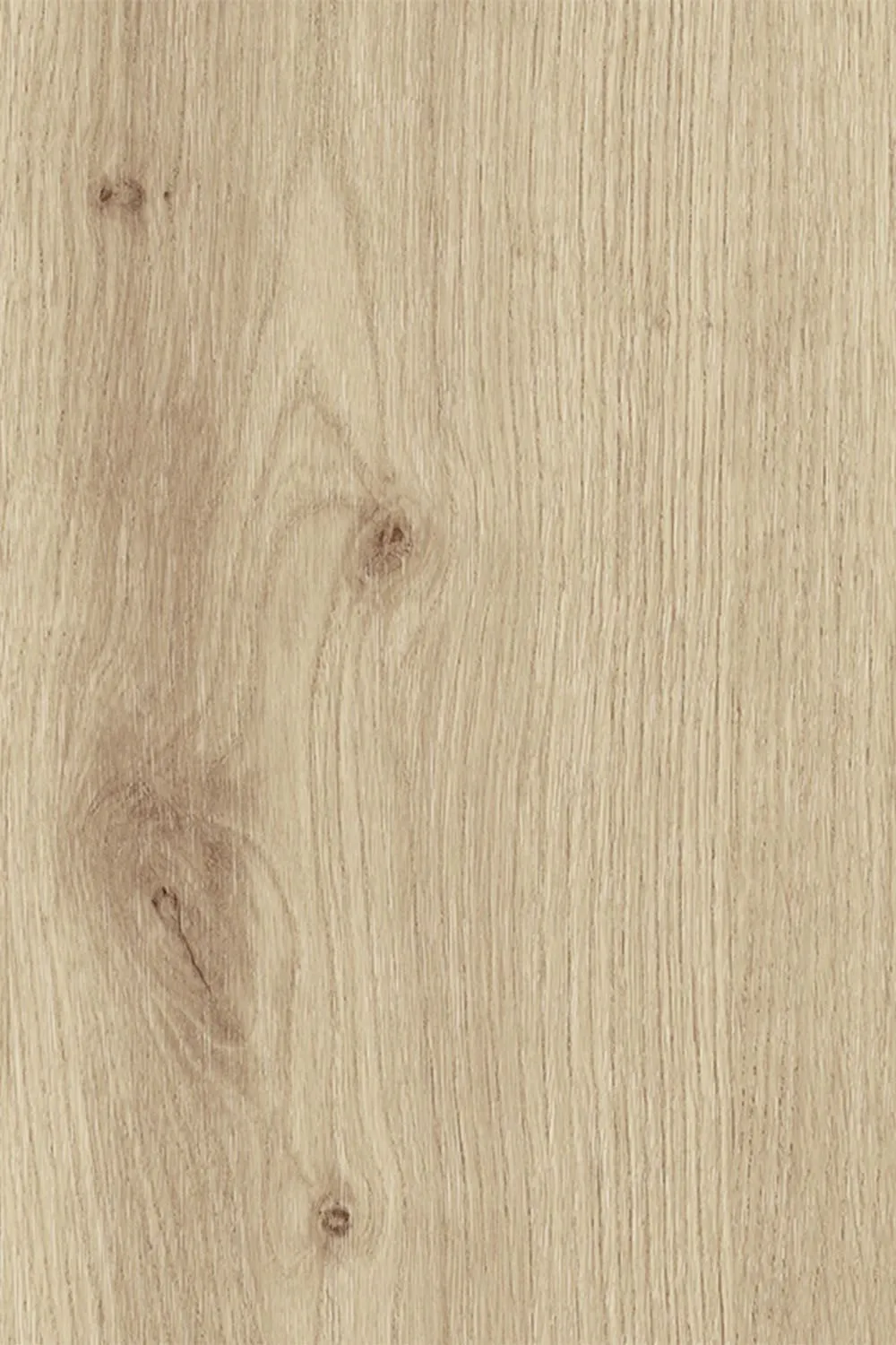 Exterior - Nody Maple