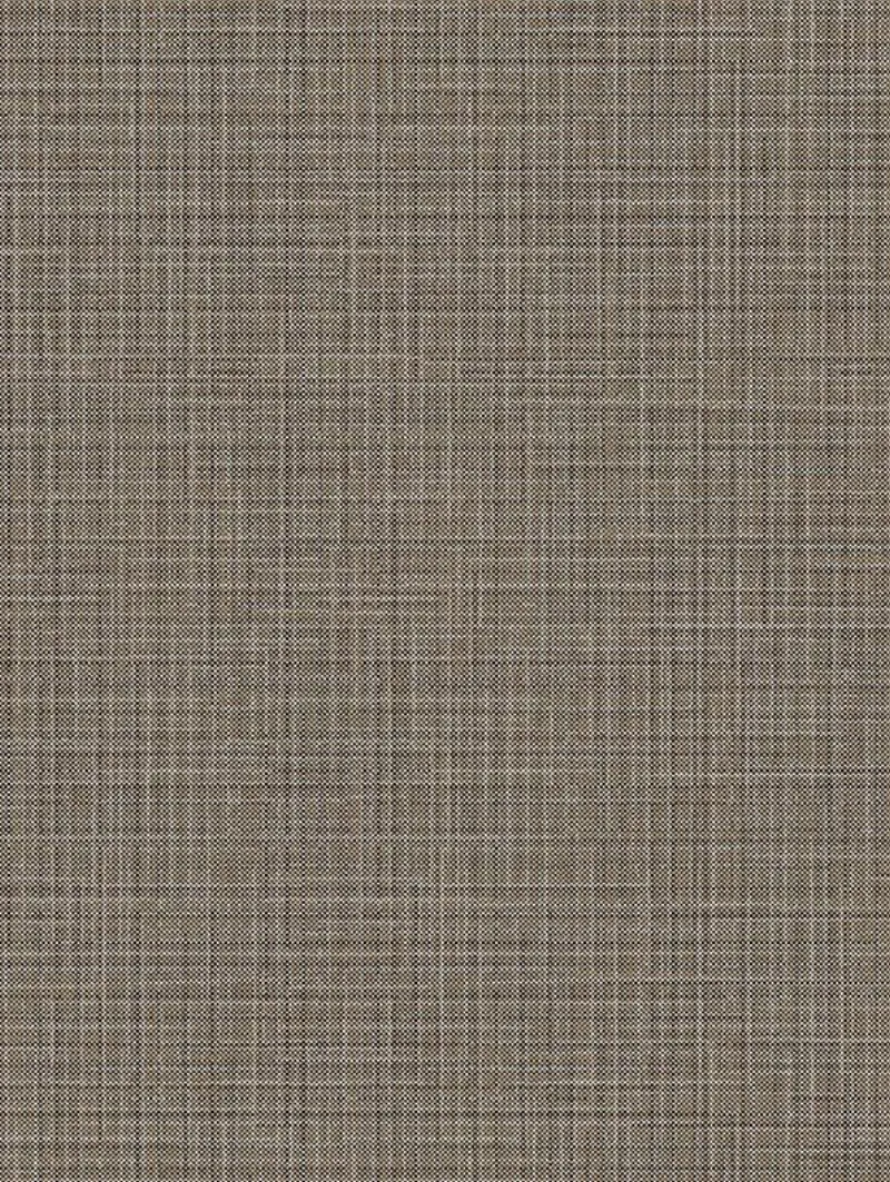 Silver & Brown Lined